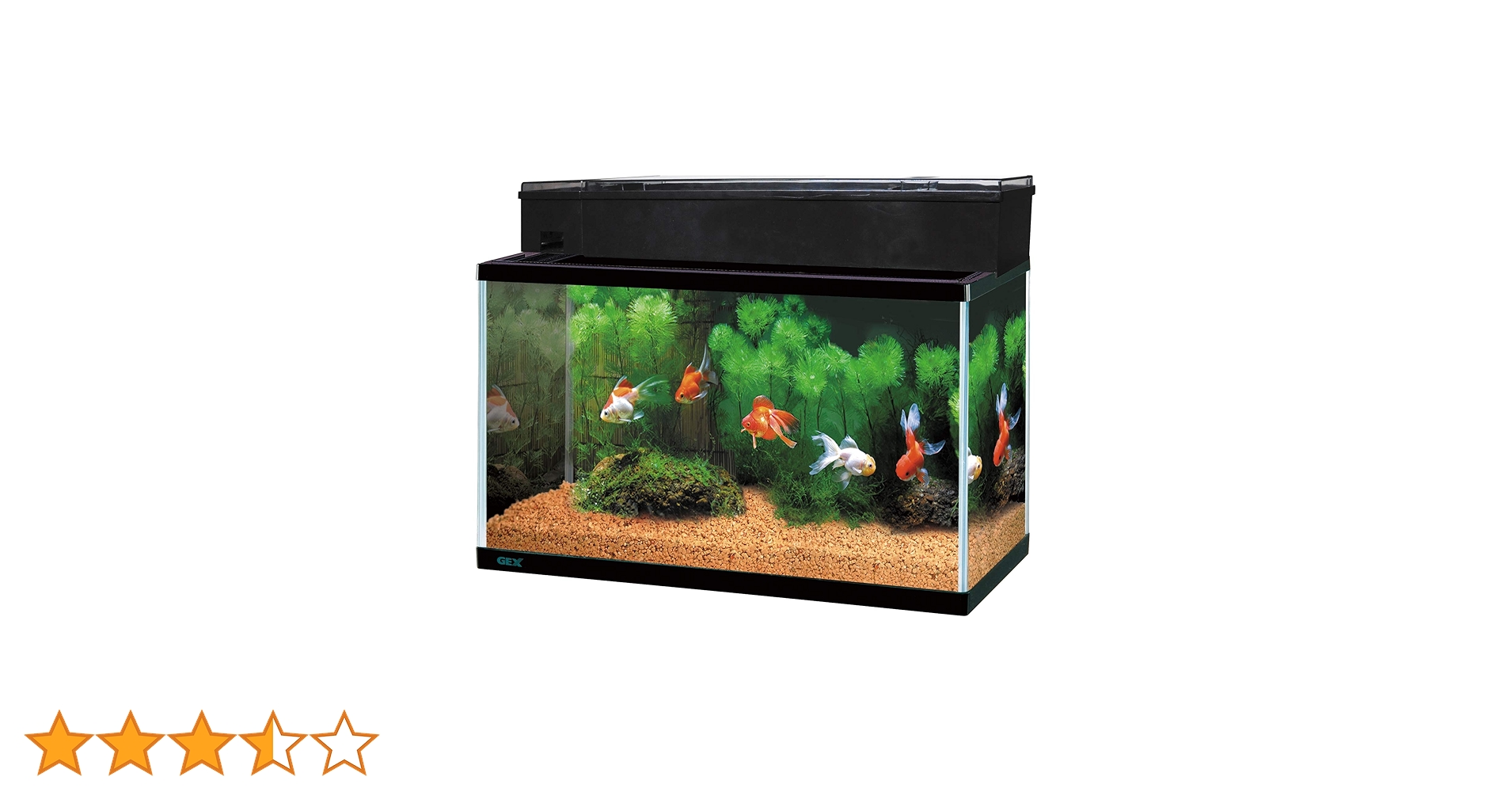 GEX DUAL CLEAN 600 水槽一式フルセット Amazon | ジェックス GEX AQUARIUM ガラス マリーナ600BKS